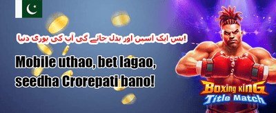 ویلی کیش بیک آفر promotion